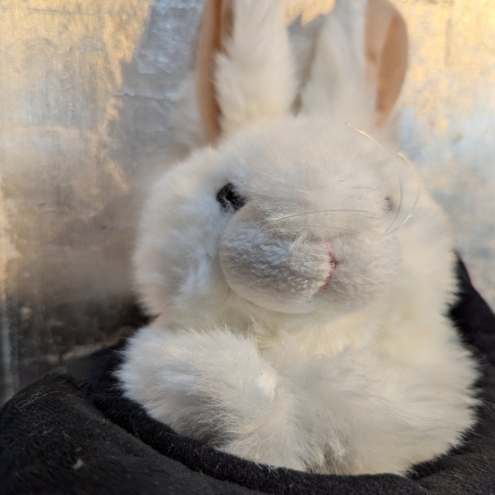 Plush White Rabbit In Black Hat Toy Puppet